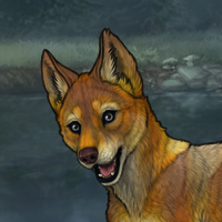 Enclave Pup Headshot