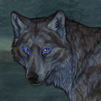 Darkmoon Winterwolf Headshot