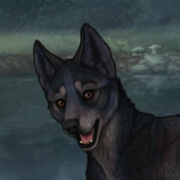 Blueschist Headshot