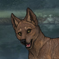 Enclave Pup Headshot