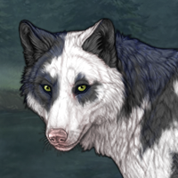 Gray Darker'Pelt Headshot