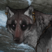 Wolf Headshot