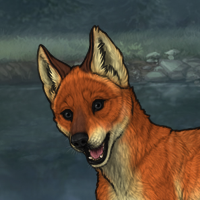 fox test Headshot