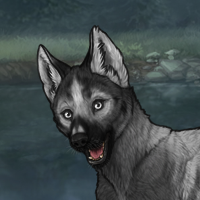 wraith pup Headshot