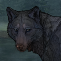 blue'pelt Headshot