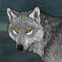 Wolf Headshot
