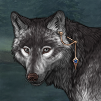 Wolf Headshot