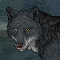 Wolf Headshot