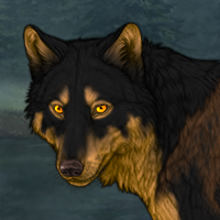 Wolf Headshot