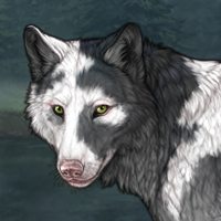 Sphalerite Piebald Uneven Headshot