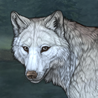 Wolf Headshot