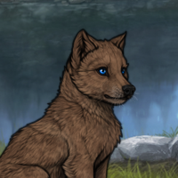 nika pup giveaway m Headshot