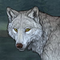 Wolf Headshot