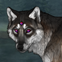 wolf Headshot