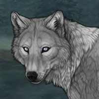 [Unnamed Wolf] Headshot