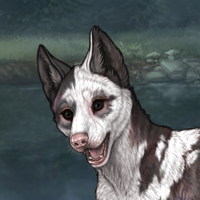 Piebald Headshot