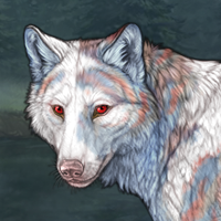 Snowpelt Headshot