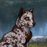 G4 Blind Double Merle Headshot