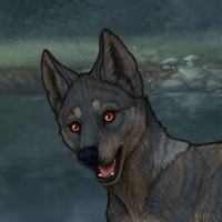 New Largest Puppy Headshot