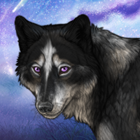 Maakkia Headshot