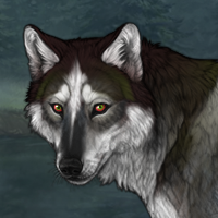 Dark Pelt Headshot