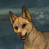 Frostwalker Puppy Headshot