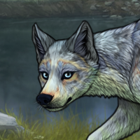 Stalker Headshot