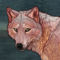 New Wolf Headshot