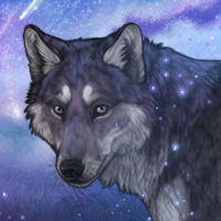 Wolf of the Galaxy Headshot