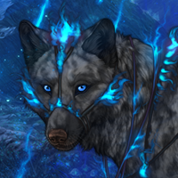 Wolf Headshot