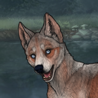 6m6r g2 husky Headshot