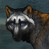 Nocturnal(Raccoon) Headshot