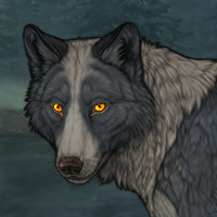 Wolf Headshot