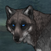 Midnight Mountain Howler Headshot