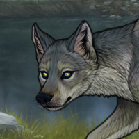 Spirit Wolf St⭐199 Headshot