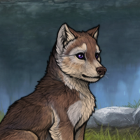 Dark Fawn Indigo 9m Headshot