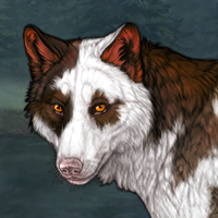 Special Dark Torn Piebald Headshot