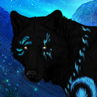 Wolf Headshot