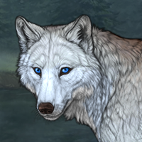 Wolf Headshot