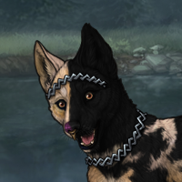 A Breeder 8 Headshot