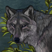 Greywind Headshot