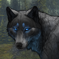 Blue Stormheart Headshot