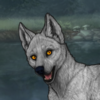 Weredog Headshot