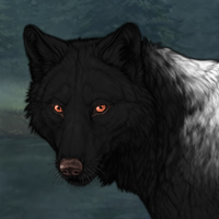 Wolf Headshot