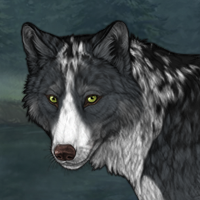 Wolf Headshot