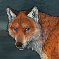 SGazer's Fox FEM lovely Headshot