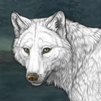 Whitefur Headshot