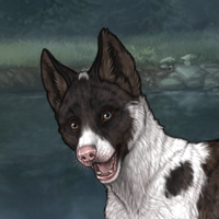 Piebald Headshot