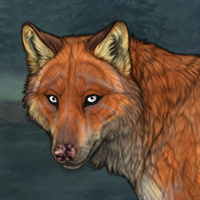 Fox Pelt Headshot