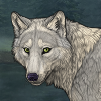 Tundra-Field Headshot